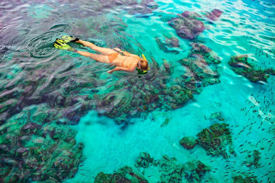 Bayahibe: Snorkeling Tour - Sea, Cotubanama Park & Cenotes - Common questions