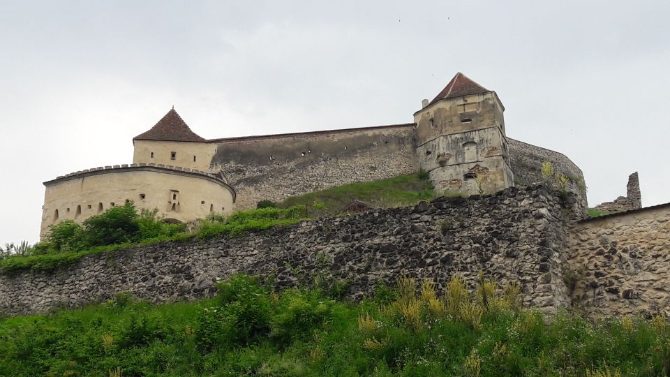 Bear Sanctuary-Bran Castle-Rasnov Fortress From Brasov - Common questions