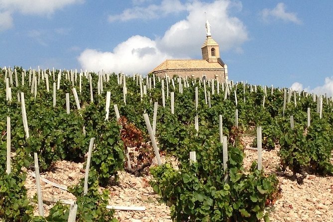 Beaujolais Wines & Castles - Private Tour - Half Day - Common questions