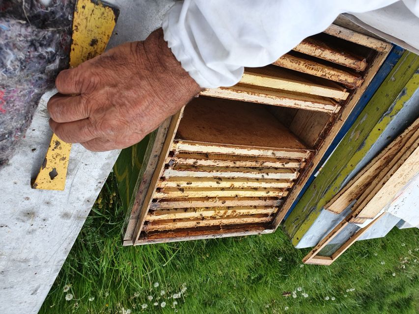 Bees in Romania - Private Beekeeping Lesson and Local Lunch - Booking Information