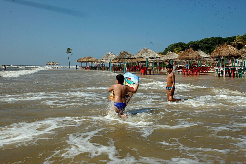 Belém: Marajó Island Day Trip With Buffalo Farm Visit - Last Words