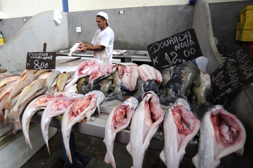 Belém: Ver-O-Peso Market and Full-Day City Tour With Lunch - Language Options