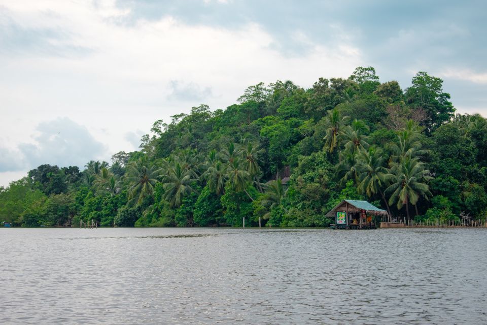 Bentota: Mangrove Lagoon and River Cruise - Meeting Point Information
