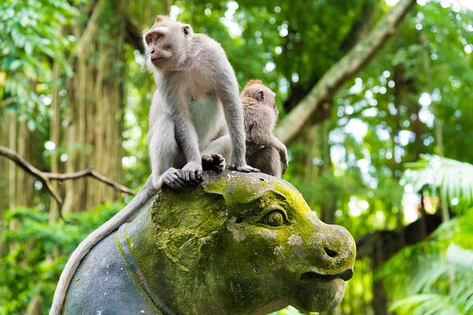 Best of Ubud Attractions: Private All-Inclusive Tour - Cancellation and Refund Policy