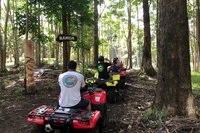 Big Island 2-Hour ATV Tour and Polynesian Villages Experience (Mar ) - Customer Feedback