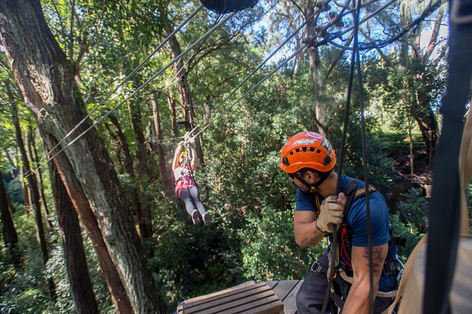Big Island Kohala Canopy Zipline Adventure - Safety Guidelines & Requirements