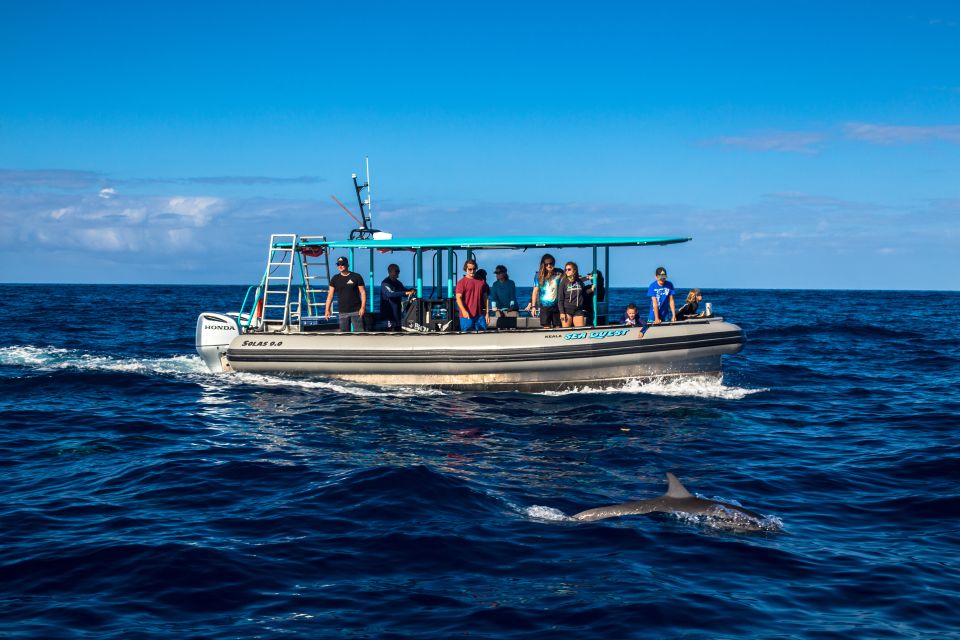 Big Island: South Kona Snorkeling and Coastline Exploration - Common questions