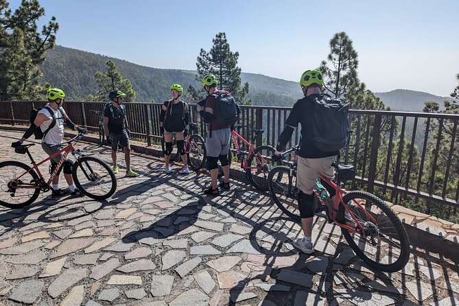 Biking Adventure From Teide to Sea With Wine and Cheese Tasting - Last Words