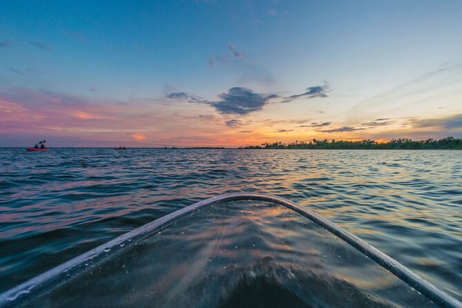 Bioluminescent Clear Kayak Tours in Titusville - Last Words