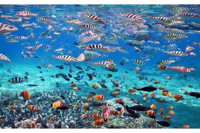 Blue Lagoon Bali Snorkeling Activities All Inclusive - Common questions