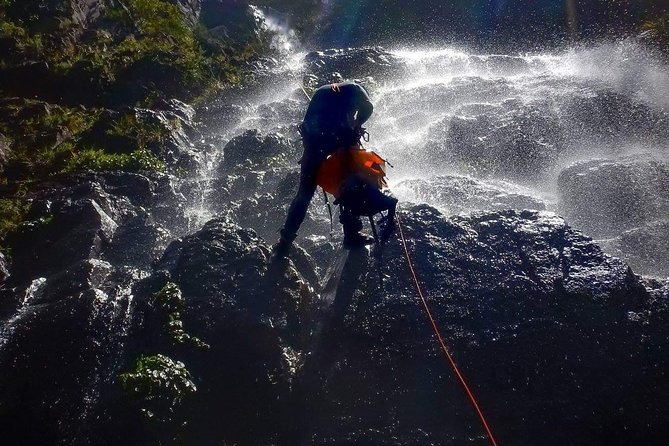 Blue Mountains and Empress Canyon Abseiling Adventure Tour (Mar ) - Last Words