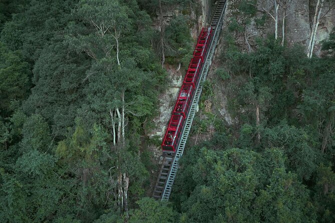 Blue Mountains Small-Group Tour From Sydney With Scenic World,Sydney Zoo & Ferry - Ferry Experience