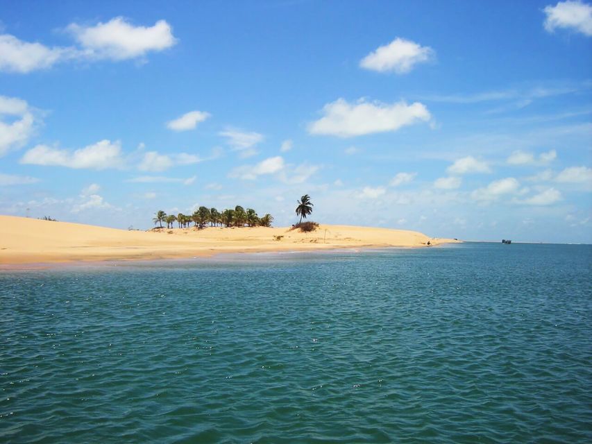Boat Ride: São Francisco River, the Largest in Brazil - Common questions