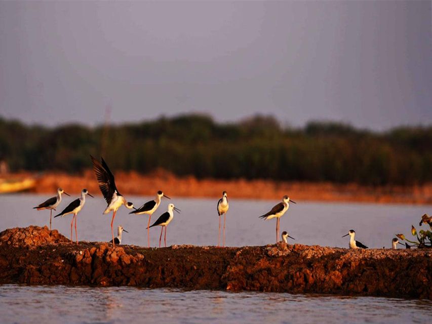 Boeng Peariang Bird Sanctuary in Siem Reap - Common questions