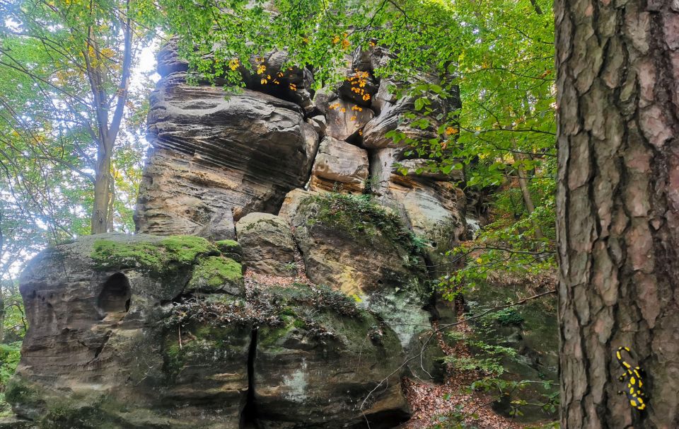 Bohemian Paradise Nature Hike & Castle Day Trip From Prague - Directions