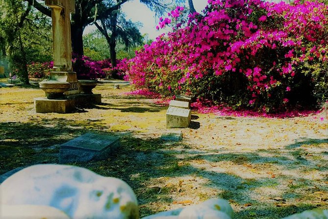 Bonaventure Cemetery Is Forever Tour - Insights and Photography