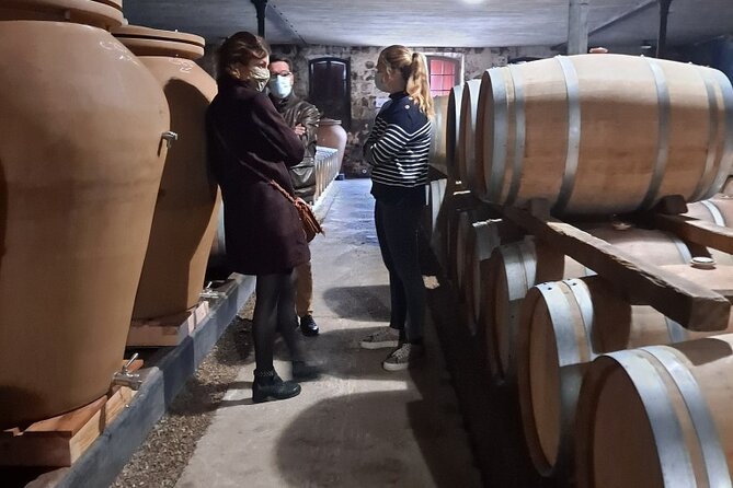 Bordeaux Médoc Region Private Wine Lovers Tour With Chateau Visits & Tastings - Common questions