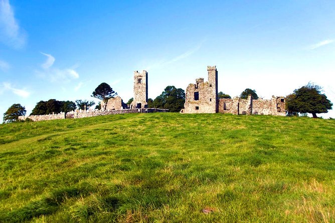 Boyne Valley, Meath - Private Shore Excursion - Customer Reviews