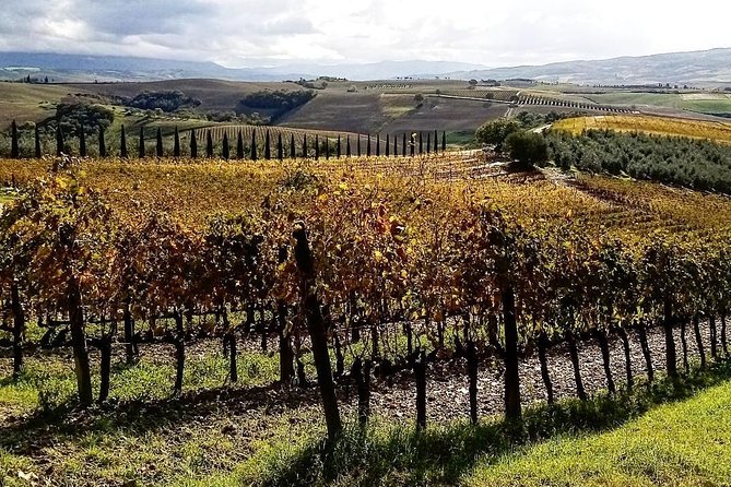 Brunello Wine Tour and Val DOrcia Landscape - Val Dorcia Exploration
