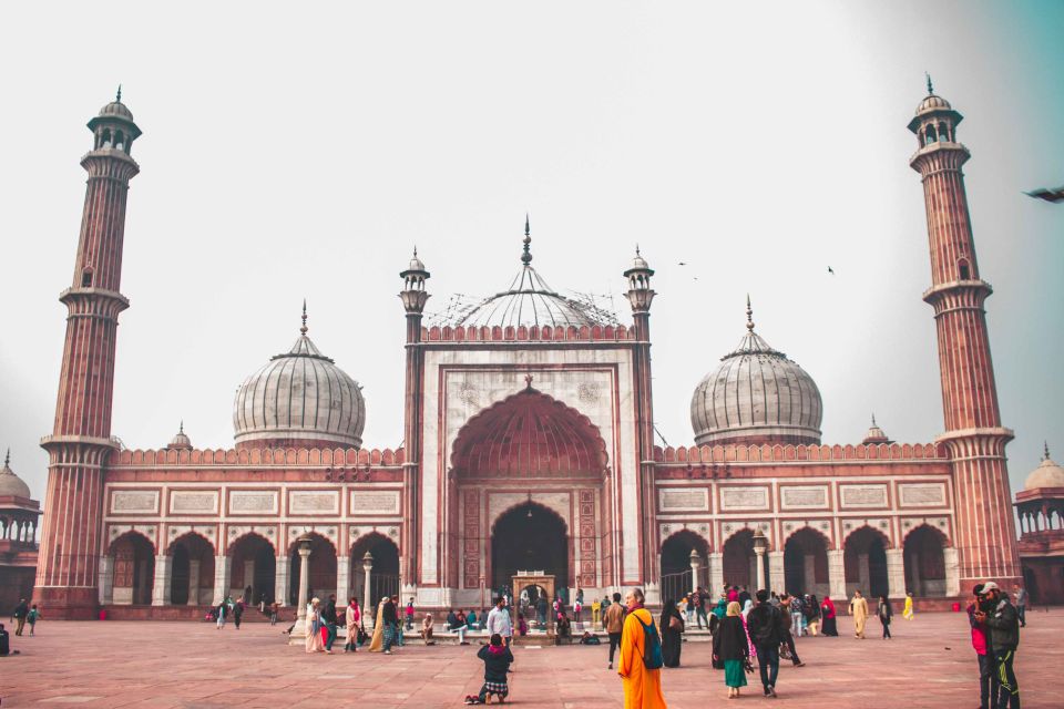 Build Your Own: Custom Private Tour of Delhi With Transfer - Language Options