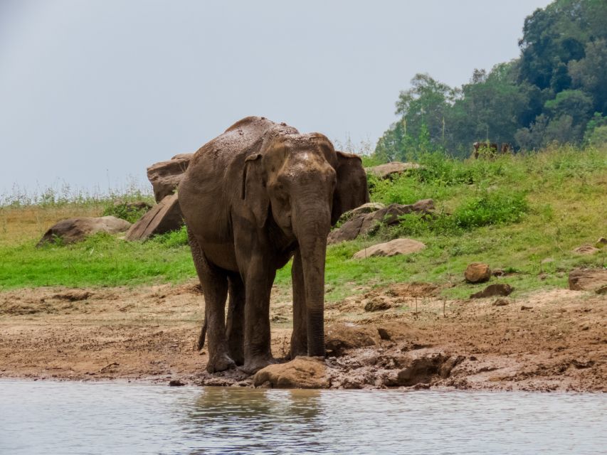 Bundala National Park: 3-Hour Morning or Evening Safari - Participant Restrictions