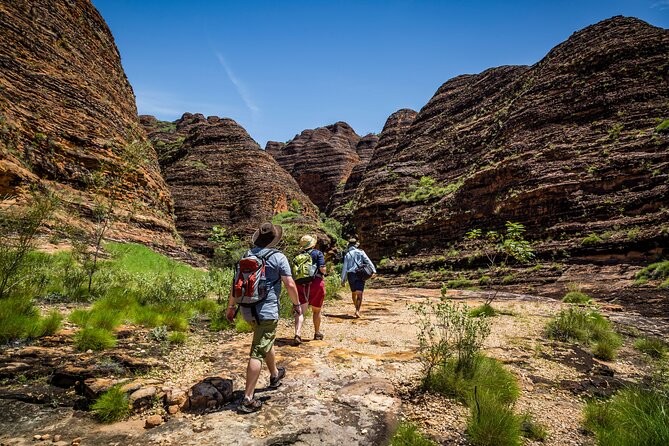 Bungle Bungle Flight & Domes To Cathedral Gorge Walking Tour - Common questions