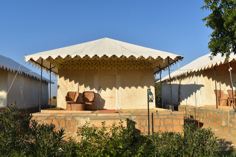 Buoyant Luxrious Overnight Desert Camping in Thar Desert - Last Words