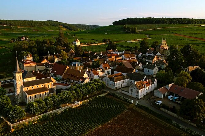 Burgundy Small-Group Wine-Tasting Tour From Beaune (Mar ) - Last Words
