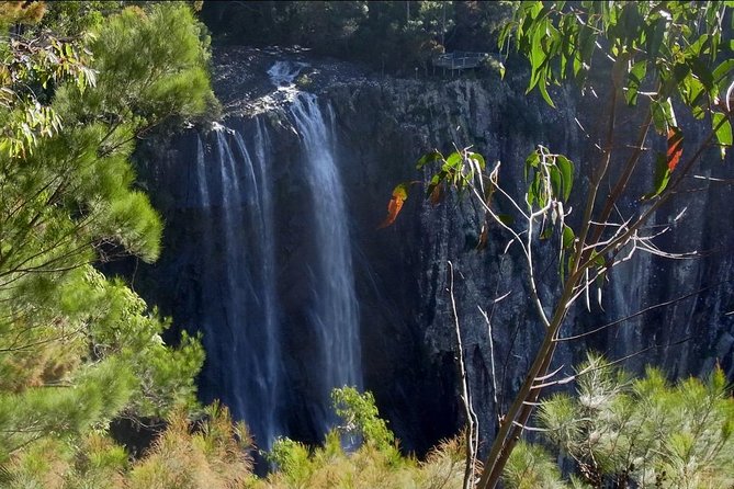 Byron Bay Hinterland Tour Including Rainforest Walk to Minyon Falls - Last Words