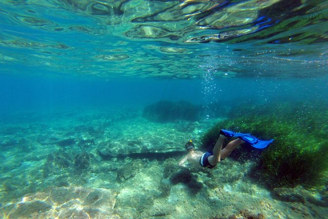 Cabo De Gata Active. Guided Kayak and Snorkel Route Through Coves of the Natural Park - Common questions