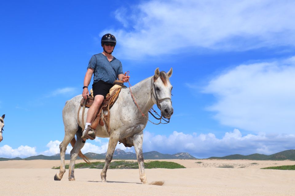 Cabo San Lucas: Beach & Desert Horseback Riding Tour - Common questions