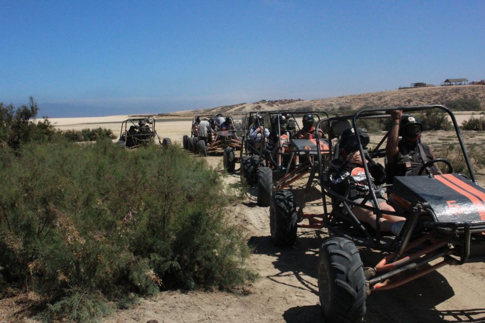 Cabo San Lucas: Off-Roading Buggy Adventure to Migriño - Last Words