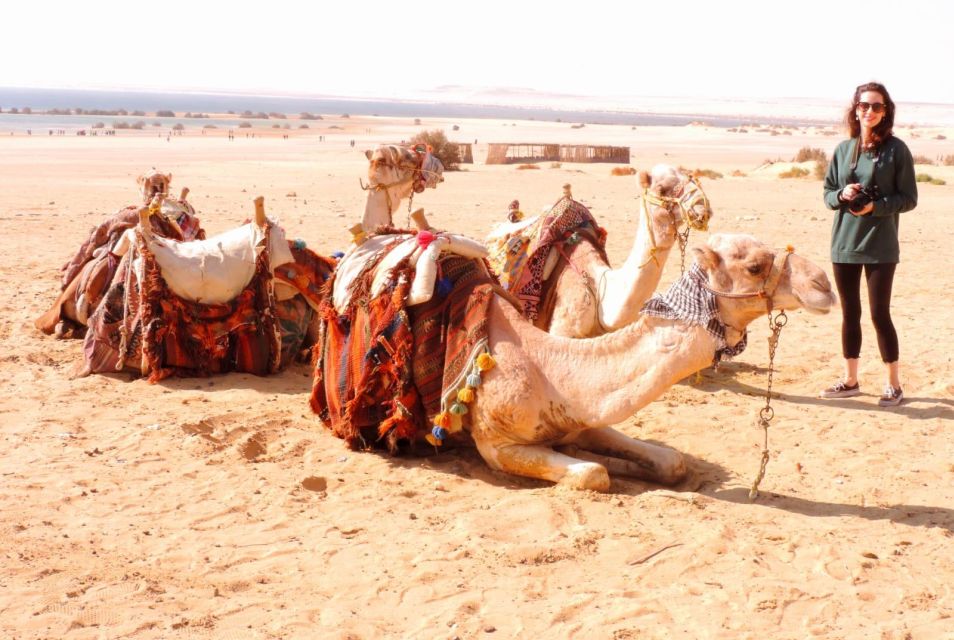 Cairo: 2-Day White Desert, Bahariya Oasis & El-Fayoum Tour - Additional Information
