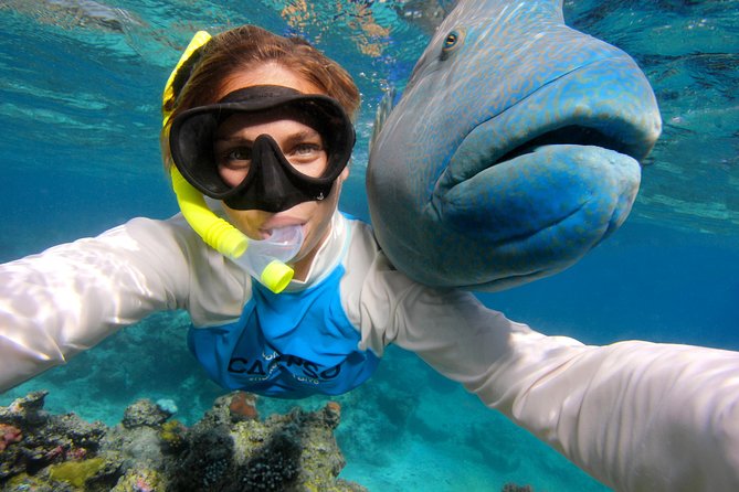 Calypso Outer Great Barrier Reef Cruise From Port Douglas - Directions