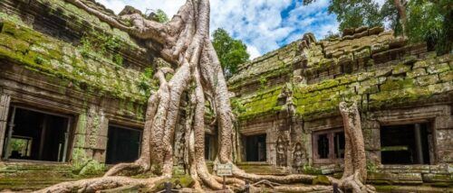 Cambodia Guided Jeep Tour - Participant Tips