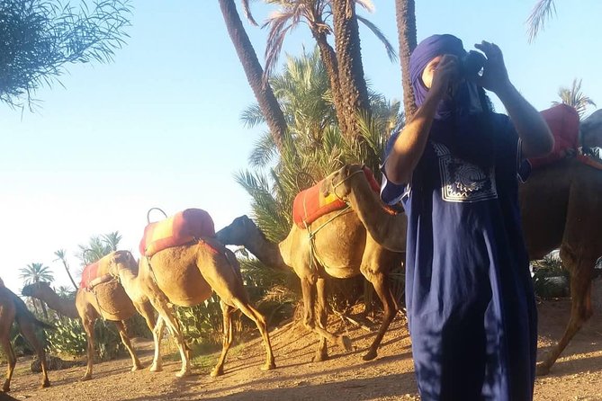 Camel Ride at the Palm Groves in Marrakech - Pricing and Additional Information