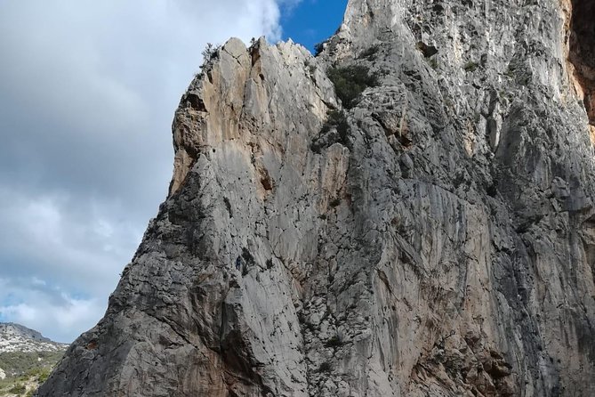 Caminito Del Rey Trekking Walkway - Essential Tour Experiences