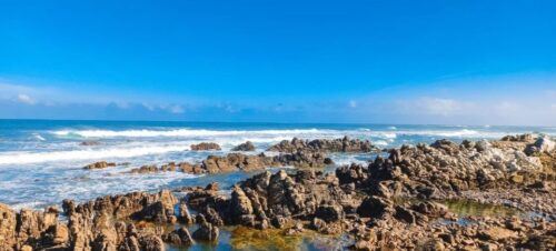 Cape Agulhas Full Day Private Tour - Common questions