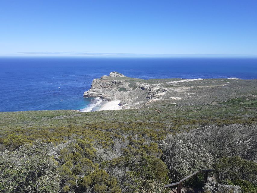 Cape of Good Hope: Sightseeing and African Penguins Tour - Last Words