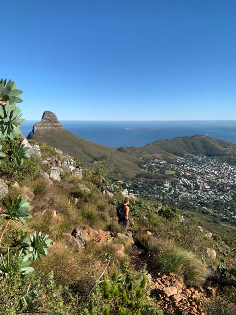 Cape Town: Half-Day India Venster Hike on Table Mountain - Directions and Summit Views