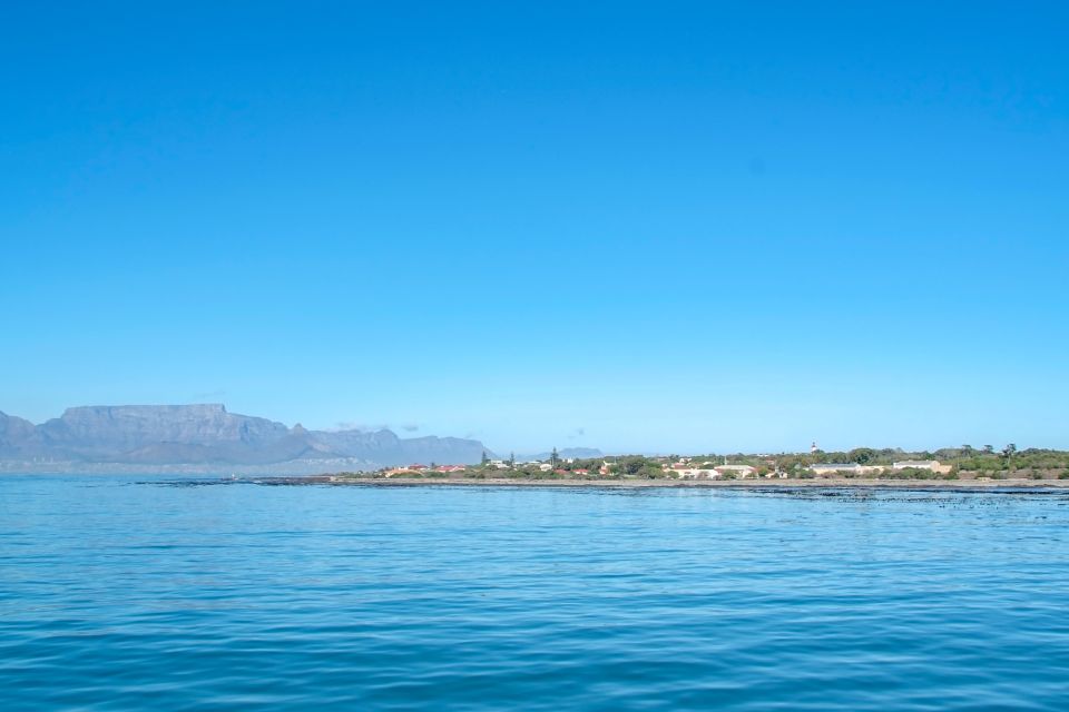 Cape Town: Penguin Watching at Boulders Beach Half Day Tour - Common questions