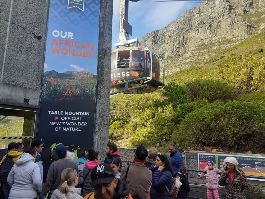 Cape Town: Table Mountain, Cape Point, & Penguins Group Tour - Visitor Reviews