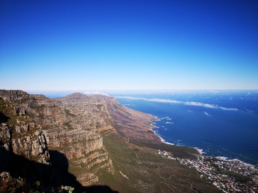 Cape Town: Table Mountain Half–Day India Venster Hike - Last Words