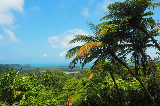 Cape Tribulation & Daintree Wilderness (TCT) - Daintree River Cruise Observations