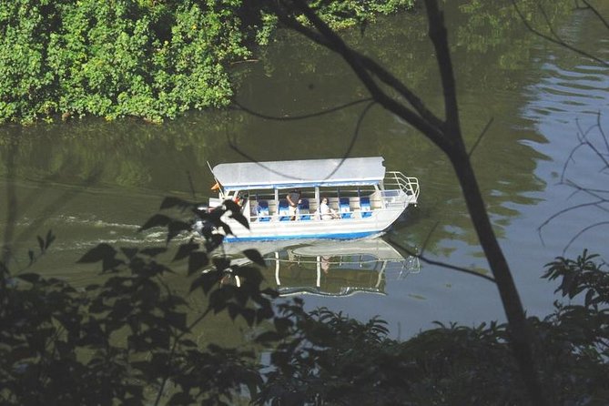 Cape Tribulation Day Tour From Cairns - Common questions