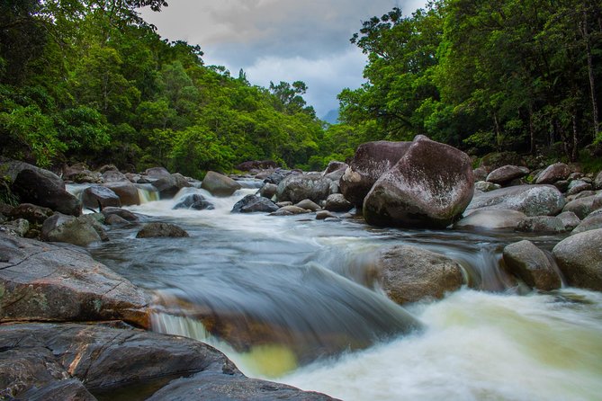 Cape Tribulation Day Tour - Booking Information