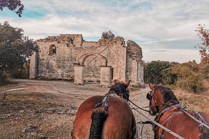 Carriage Rides, Pays De Sommières - Common questions