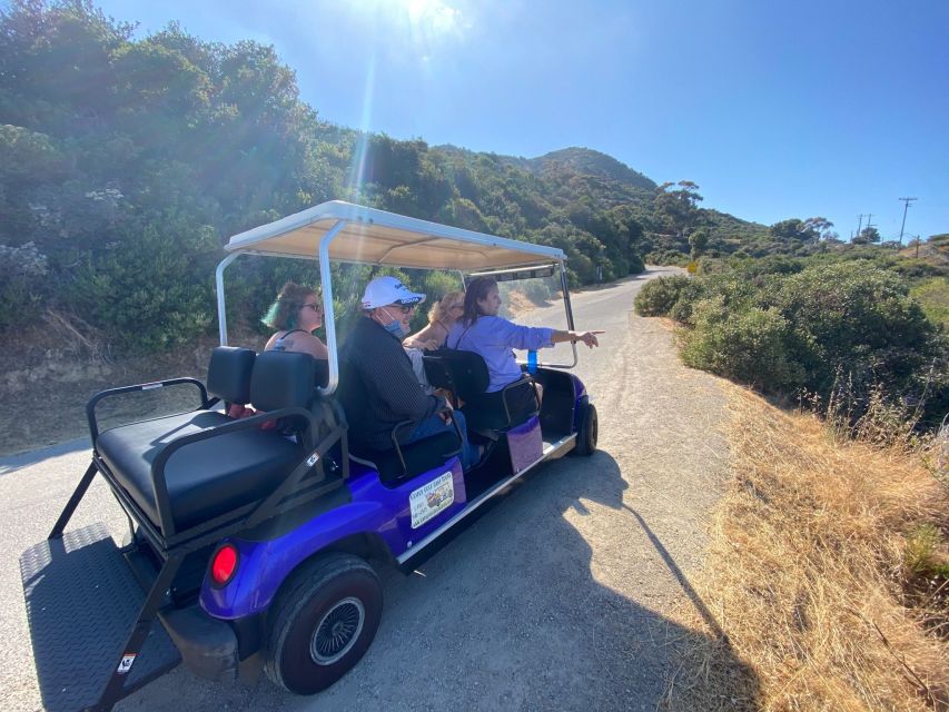 Catalina Island: Private Guided Golf Cart Tour of Avalon - Common questions