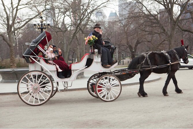 Central Park and NYC Horse Carriage Ride OFFICIAL ( ELITE Private) Since 1970 - Elite Private Service Since 1970