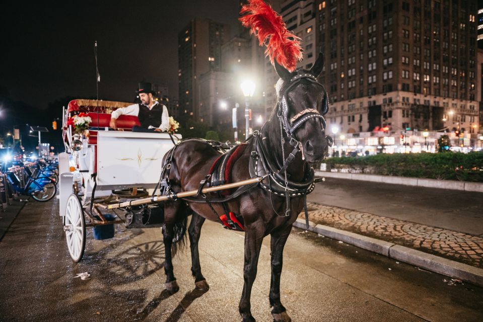 Central Park, Rockefeller & Times Carriage Ride (4 Adults) - Directions